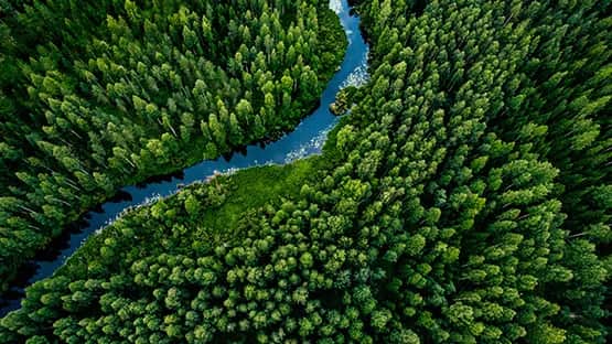 Czy LPG jest ekologiczny? Odkryj prawdę o jego wpływie na środowisko