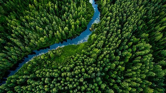 Czy LPG jest ekologiczny? Odkryj prawdę o jego wpływie na środowisko